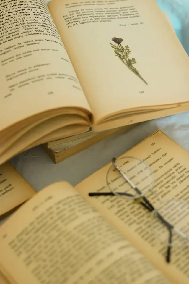 Книги по археологии для начинающих: с чего начать самостоятельное изучение