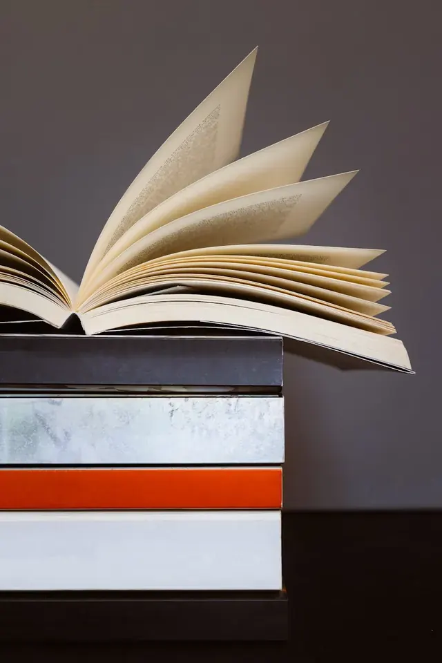 Книги по экономике для начинающих: обзор